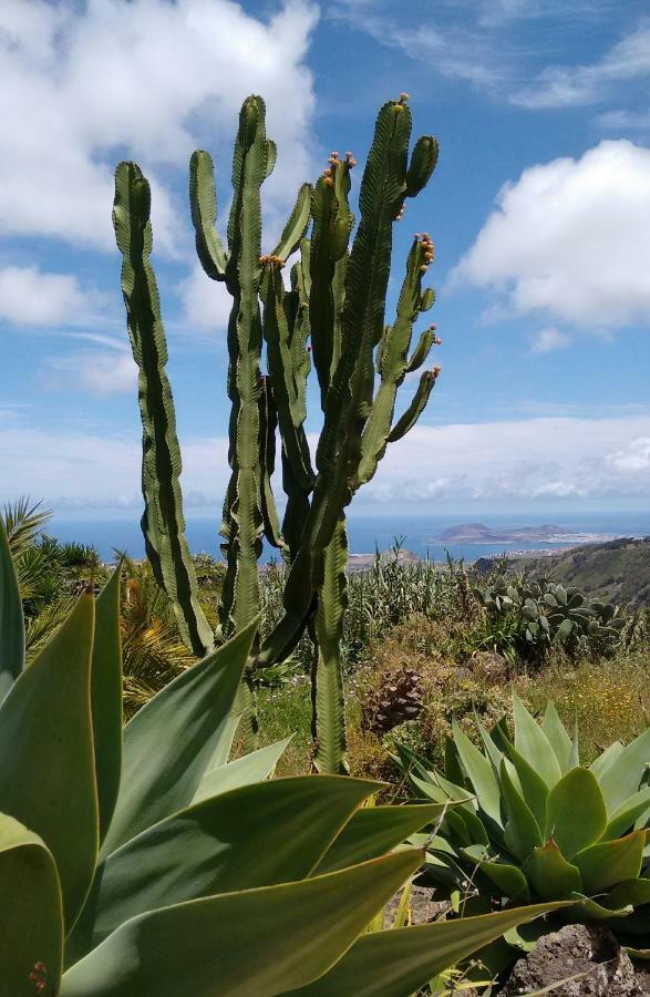 *****Finca Bella Vista 아루카스 외부 사진