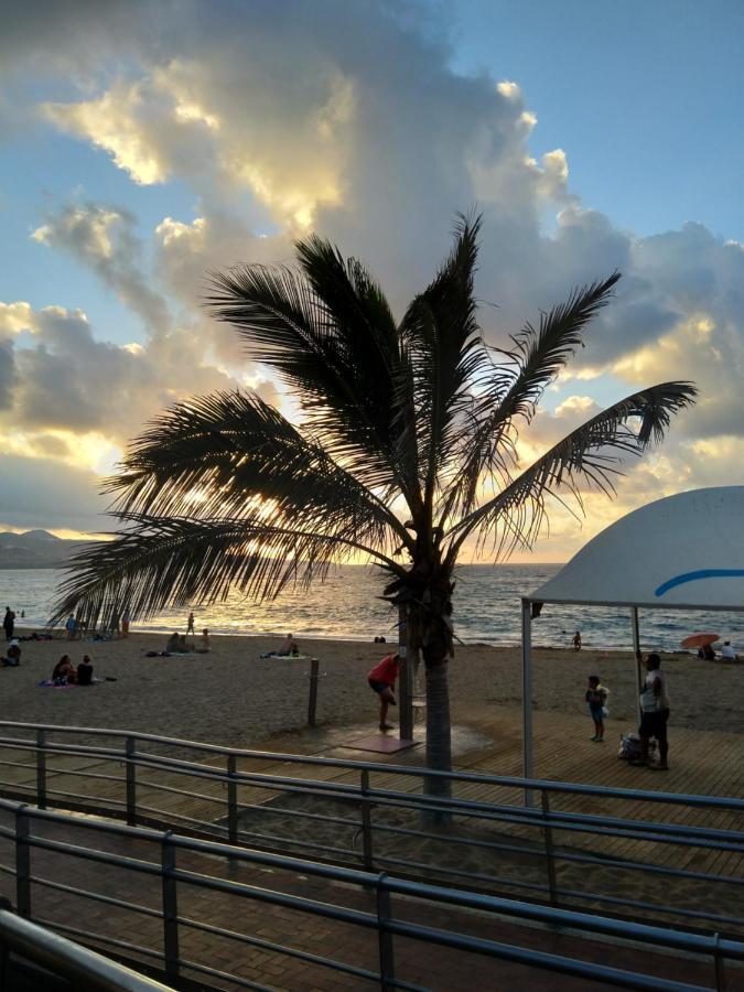 *****Finca Bella Vista 아루카스 외부 사진